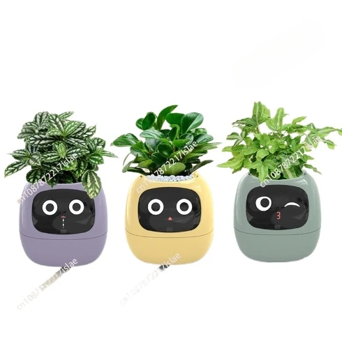 Intelligent Potted Ivy Desktop Green Plant Intelligent Cute Pet interaction Flower Pot Cartoon Expression Plant Emotions English