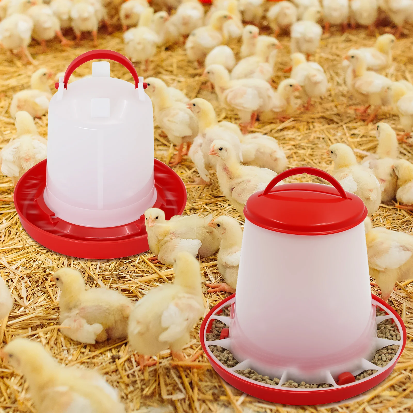 1.5/3Kg Automatische Kuiken Feeder Water Emmer Haan Kip Voeden Apparaat Boerderij Dieren Gevogelte Kwartel Duif voeden Levert 2 Stuks