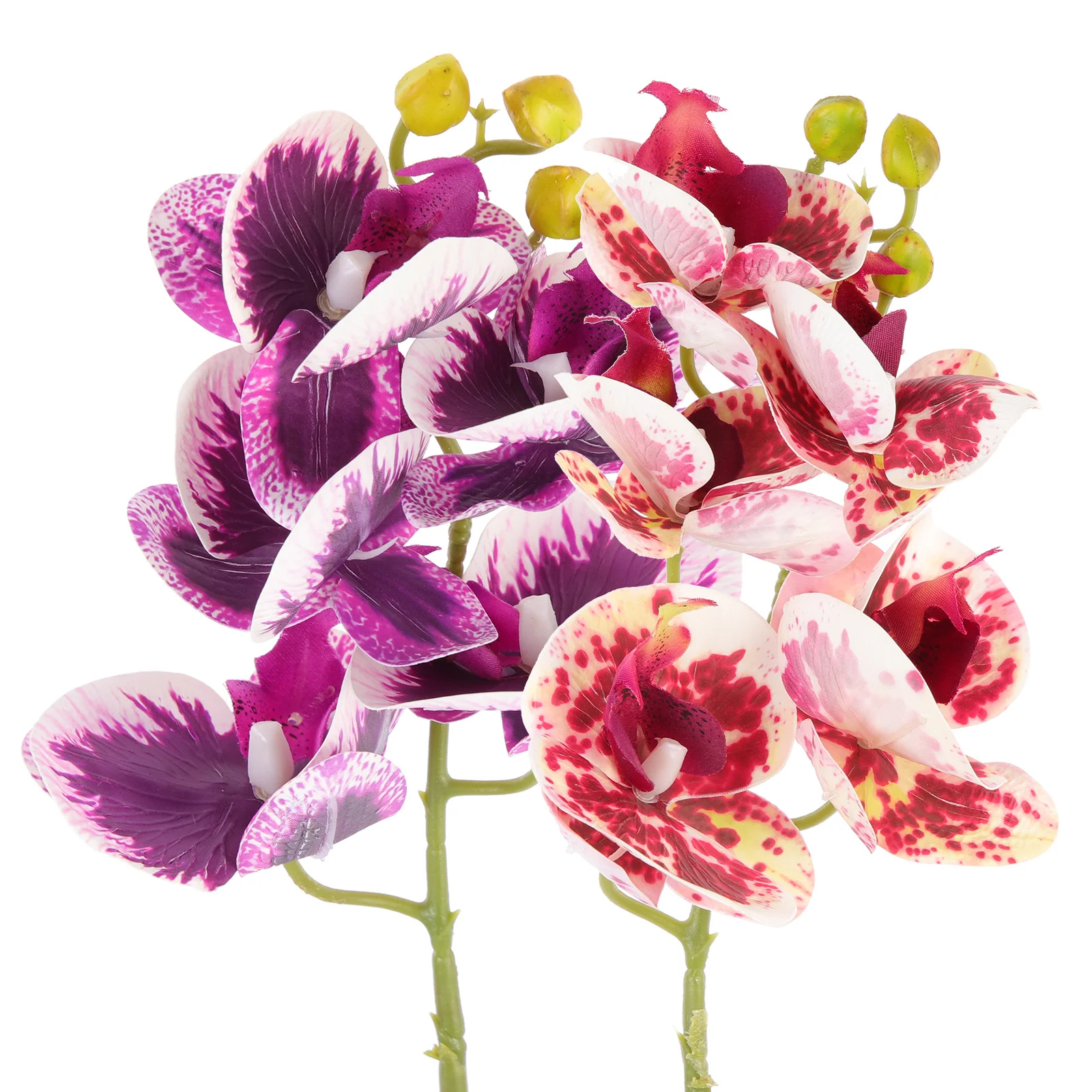 

2Pcs Realistic Reptile Terrarium Plants Lifelike Landscape Decorations Aquarium Tank Ornaments Natural Pet Habitat