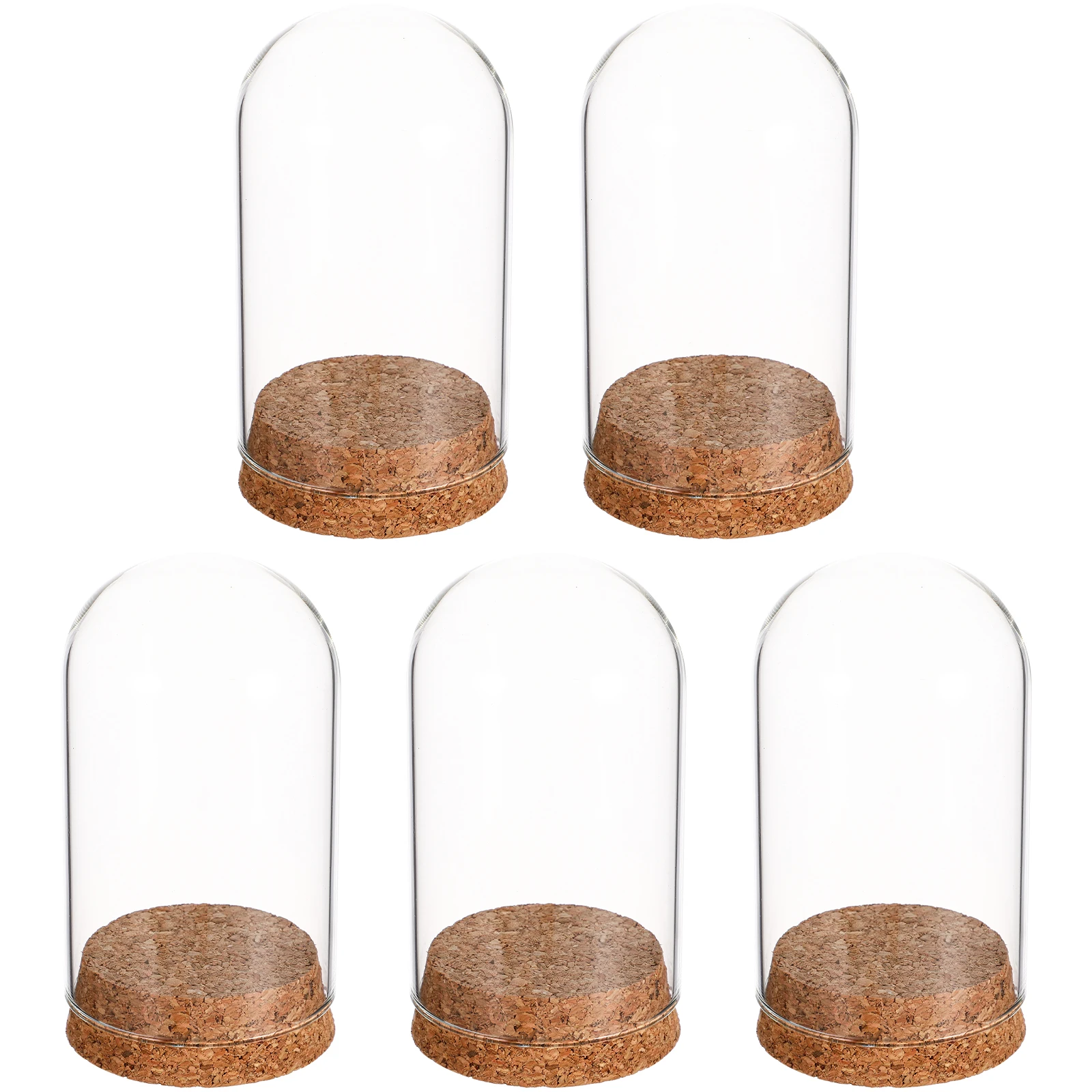 5Pcs Clear Glass Dome With Cork Base Eternal Flower Cover For Decor Glass Display Case Figurines Miniatures Decorative