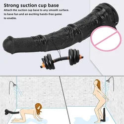 Huge Animal Anal Plug Big Horse Dildo Suction Cup Cock Buttplug Anus Stimulation Prostate Massage Ass Sex Toy for Men Women 18+