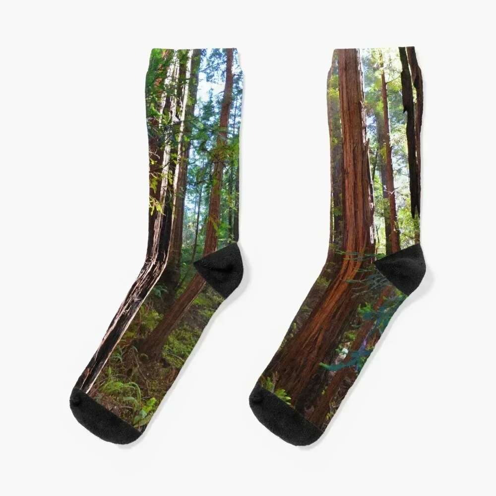 Redwood Forest, Redwoods, Muir Woods National Monument Socks colored Antiskid soccer Men's Socks Women's