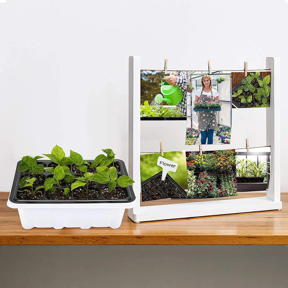 10Pack Seedling Nursery Box Tray Starter 12 Cells Transparent Dome Drainage Base Grower for Tomato Pepper