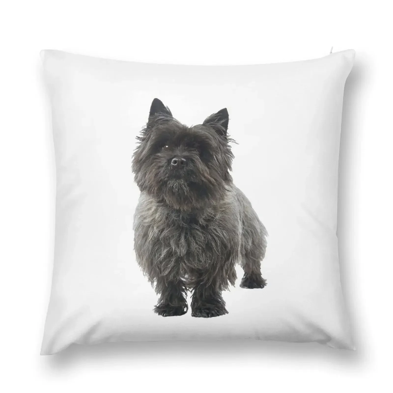 Black Cairn Terrier Dog Throw Pillow Pillows Aesthetic Custom Cushion Photo pillow