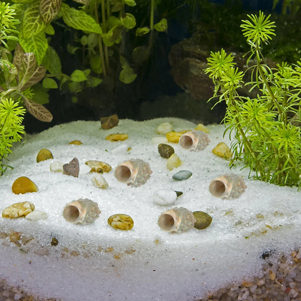 

100Pcs Conch Shell Decorations Hermit Crab Shell Replacement Creative Aquarium Conch Adornments Fish Tank DIY Landscape Decor