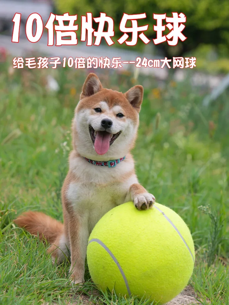 Dog Toy Ball Ten Times Happy Ball Super Large Tennis 24cm