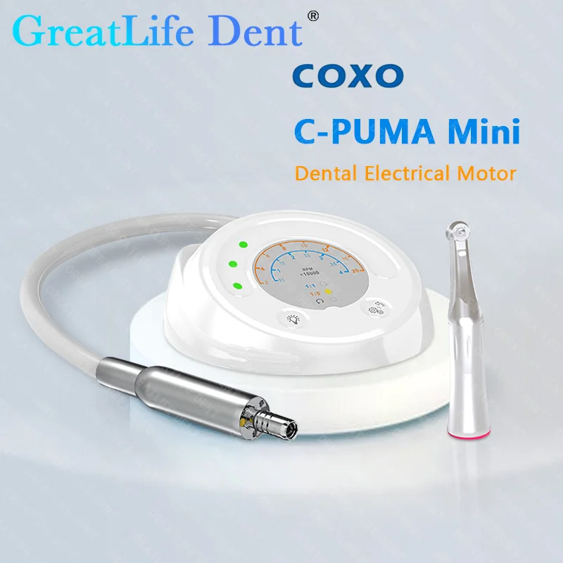 GreatLife Dent COXO C-Puma Mini motore elettrico Brushless 1:1 strumento endodontico tutto in uno 1:5 motore di lucidatura e rifilatura