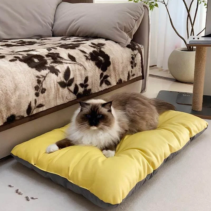 thickened-double-sided-pet-bed-mat-chew-resistant-dog-and-mat-non-washable-cuddly-pet-nest-mat-for-small-dogs-and-cats