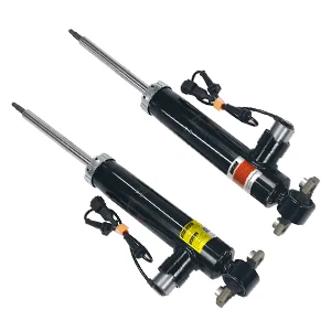 2pcs/set Suspension Struct Rear Shock Absorber For Linkcoln MKZ 2013-2017 ASH24635 ASH24651 E/DG9Z18125A/B/C/D