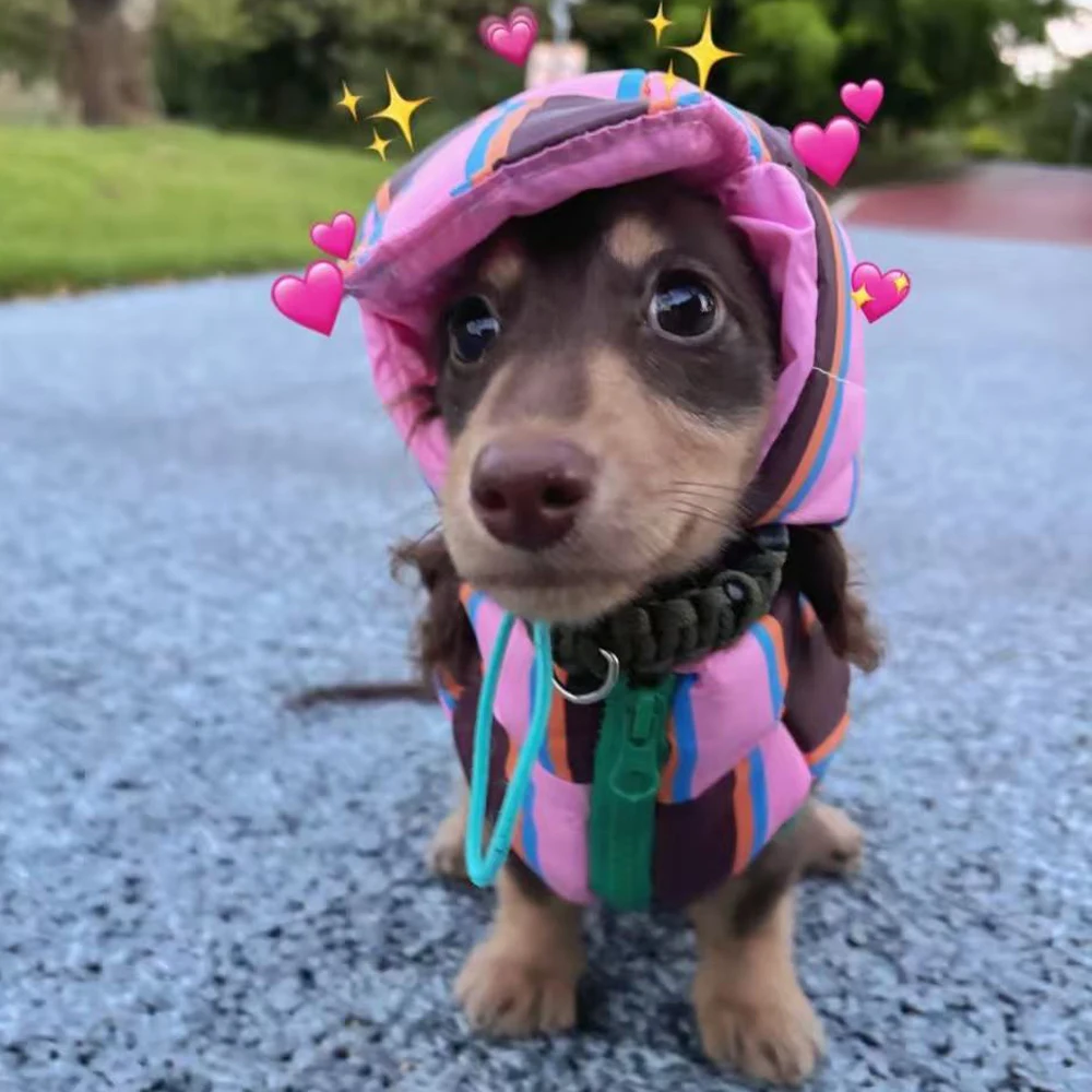 Rosa braune Jacke mit Mütze für Wiener Hunde. Warmer T-Shirt für Dachshunde. Süßer Anzugmantel für Dackelhunde im Frühling und Herbst