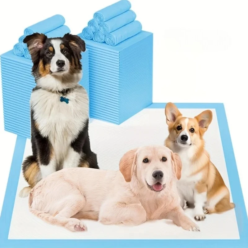 #31 Cheap Dog Diaper Pads & Liners Worth Buying