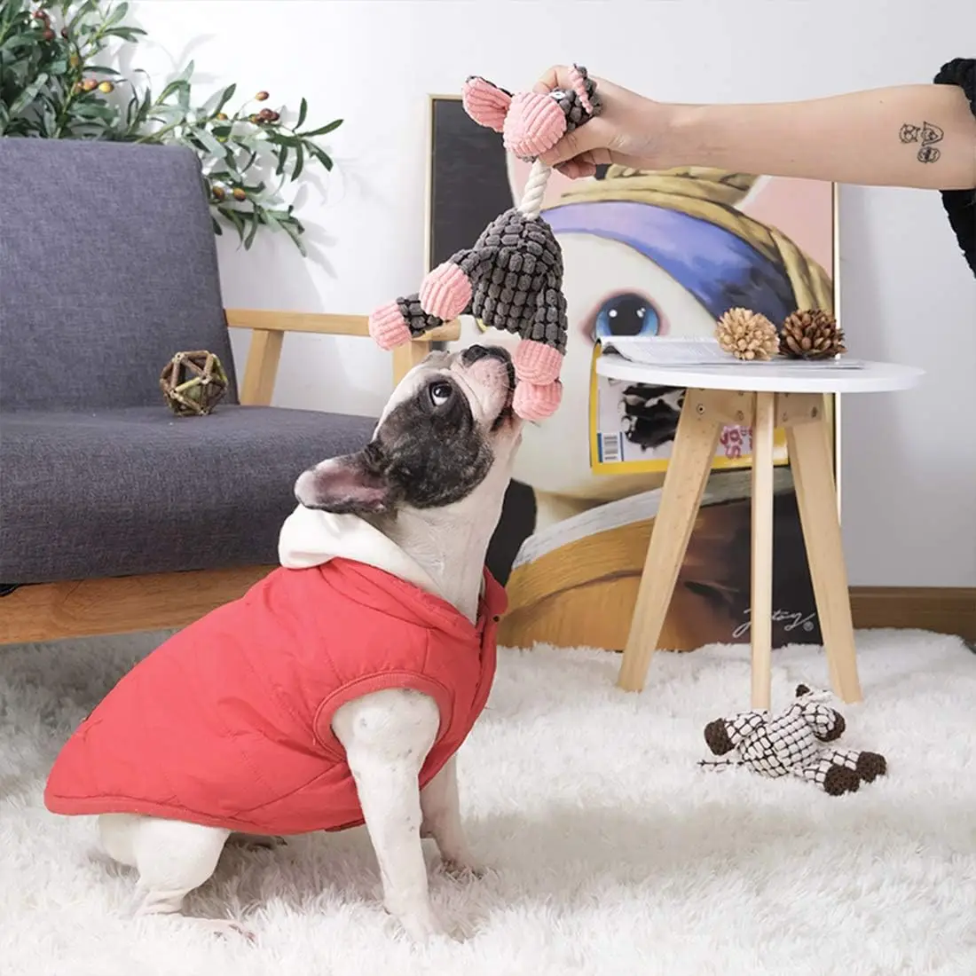 Jouets Interactifs en Corde à Nministériels d à Mâcher pour Chiens, Boule Sophia Tressée en Peluche, Accessoires pour Chiots