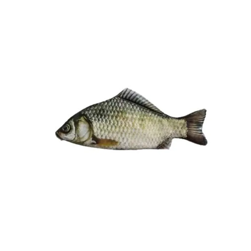 For School or Office Cute Large-Capacity Fish Shape Pen Pouch, Realistic Crucian Carp Design Pencil Case, Stationery Storage Bag