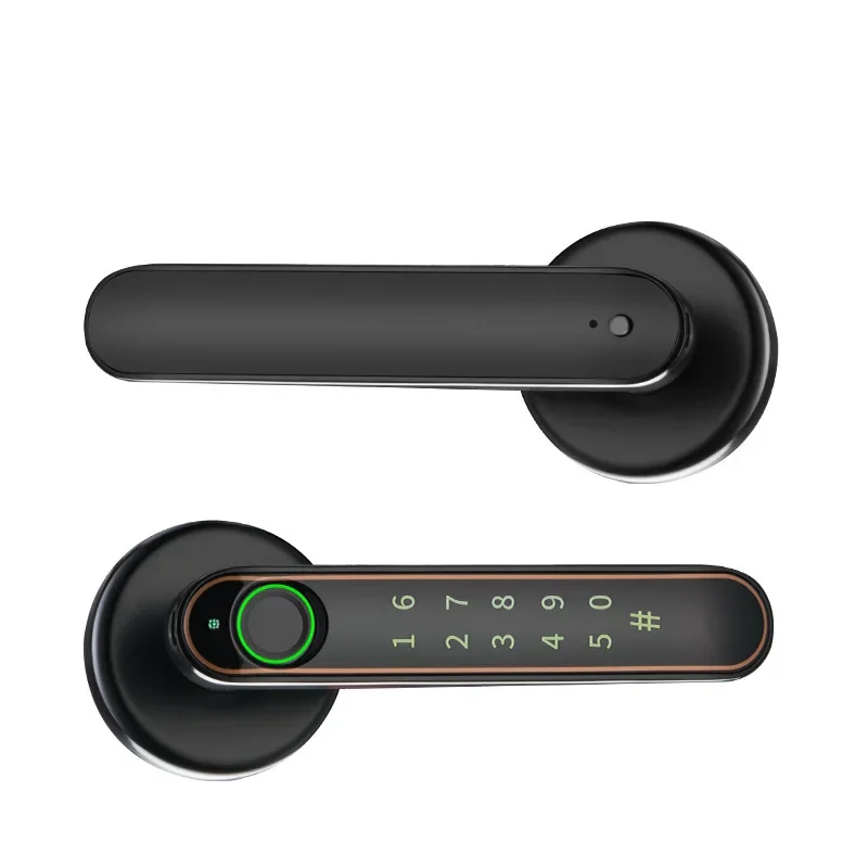Graffiti lock Office door Room bedroom Wooden Handle   Bluetooth password Fingerprint Smart electronic