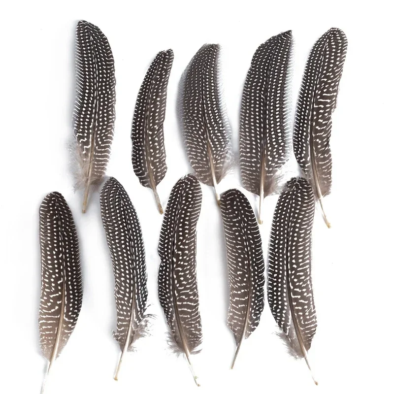 10Pcs Natural Pearl Guinea Fowl Feathers for Jewelry Making Hats Crafts Spotted Pheasant Chicken Handicraft Accessories Decor