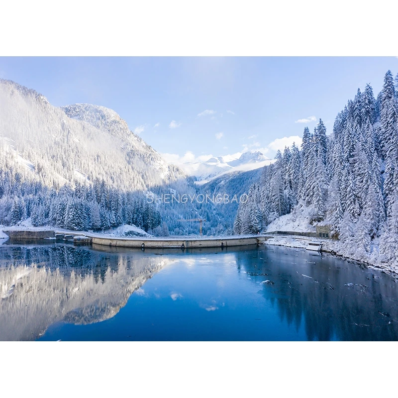 Fondo de fotografía de paisaje Natural de invierno bosque paisaje nevado viajes foto telones de fondo accesorios de estudio 21101 XJS-02