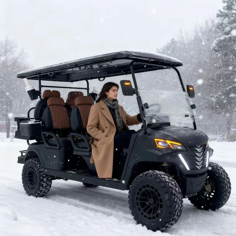 

New Exclusive Factory 4000W/5000/7500W Club Car Hunting Car 48/60/72V 2 4 6 8 Seater Electric Golf Cart