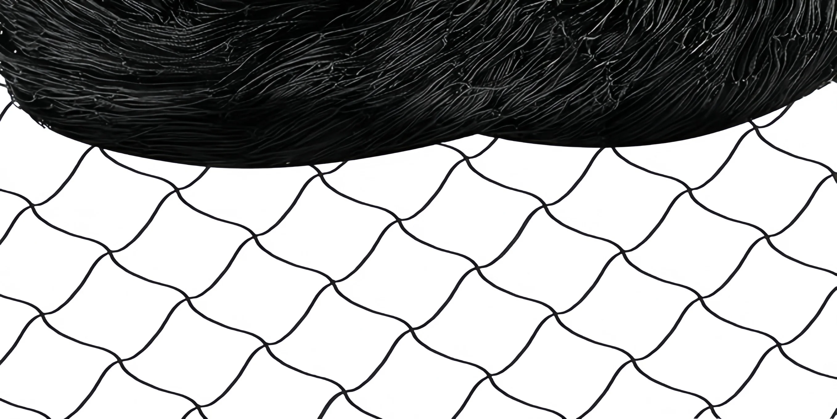 Heavy-Duty Duck Cage 49x24ft, Bird Proof Netting for Chicken Coop, Poultry Fence, Garden Climbing Net with 15 Cable Ties