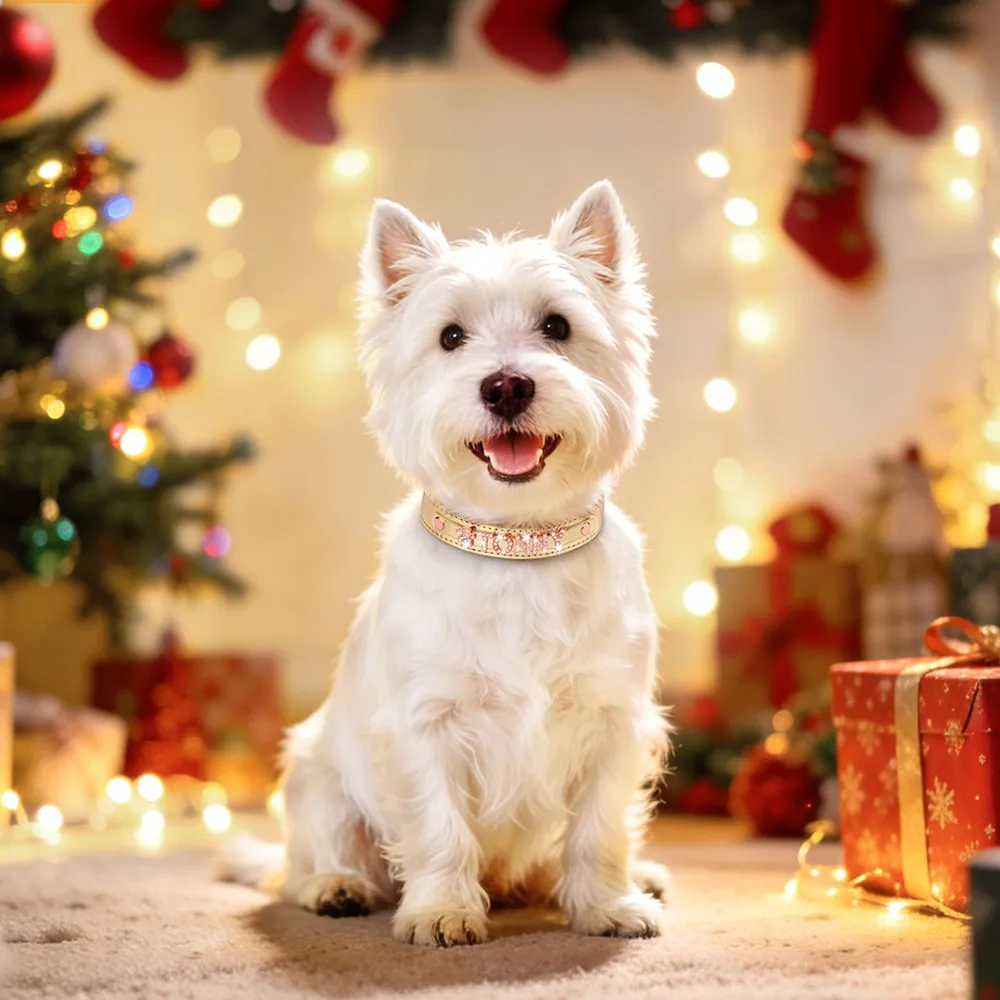 Collar personalizado para perros de cuero PU brillante con nombre - imagen 2