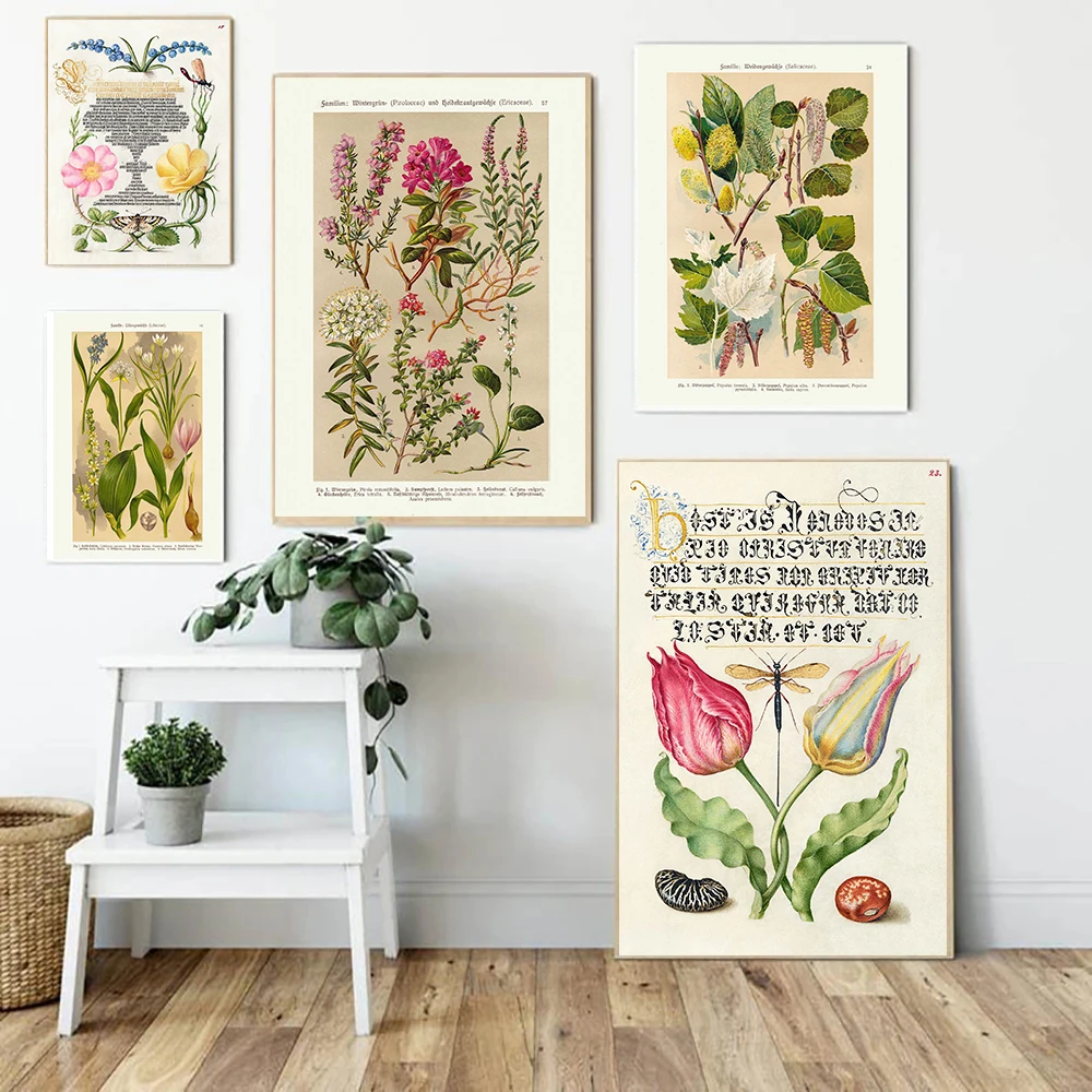 Botanical Tulip Scorpion Flowers Encyclopedia Calligraphy Posters Hyacinth Prints Canvas Painting Wall Art Pictures Home Decor