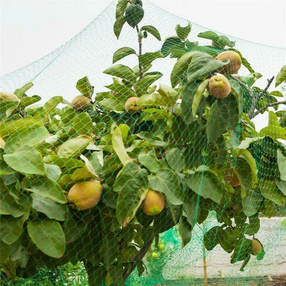 Protect Plants and Fruit Bird Protection Net Best Stretch Fence Green Anti Bird Netting Pest Control Supplies Reusable