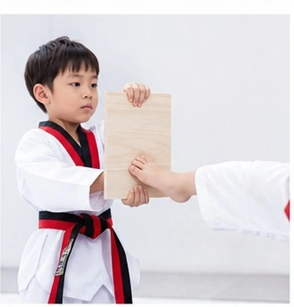 10Pcs Training Breaking Boards Martial Arts Taekwondo Board Wood Punching Board Kids Practice Karate Supply Professional