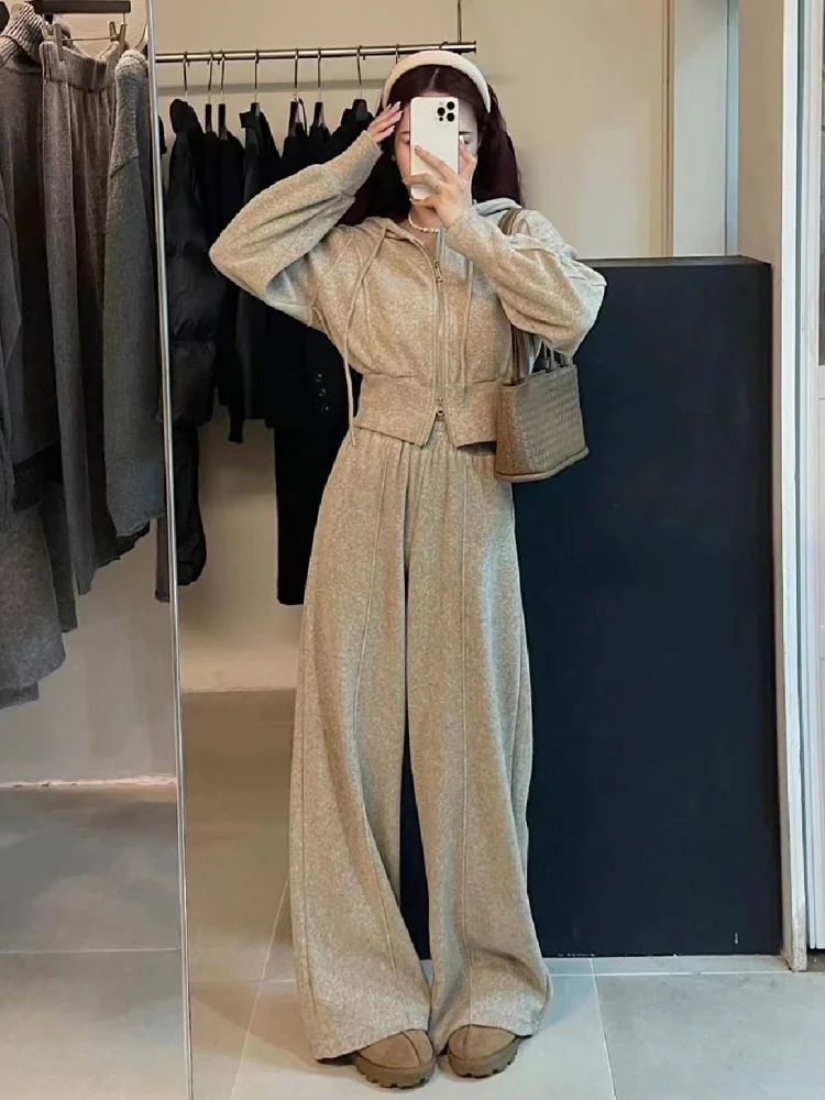2025 sportswear set women's spring and autumn new lazy wind loose cardigan hooded sweater wide-leg trousers two-piece set