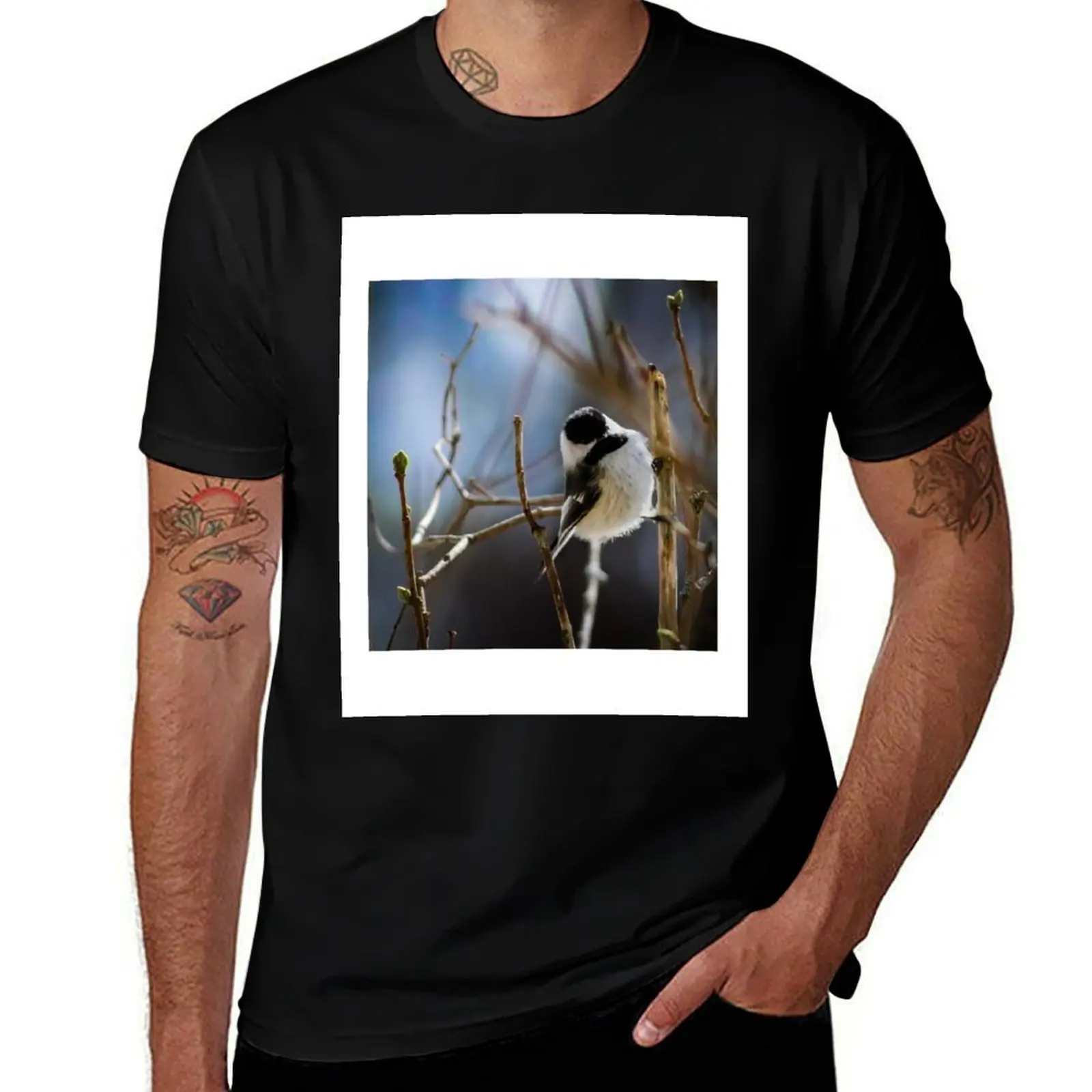 

on shirt Capped cotton for t man high man Branch Chickadee Black shirts t T-Shirt a quality cotton