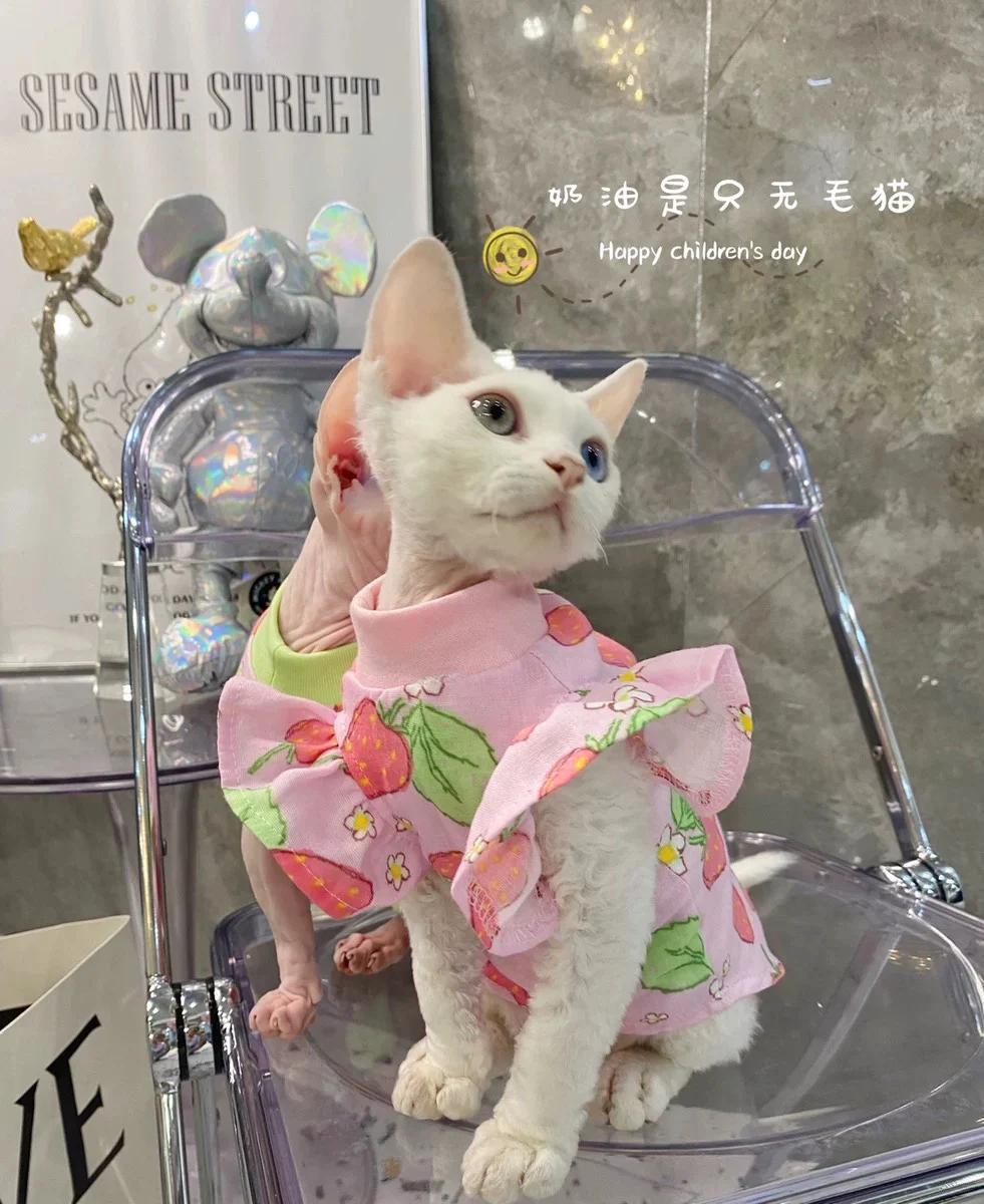 Elegant Luxury Sphynx Cat Clothes Summer Dog Fancy Dress For Hairless Cats Clothing Small French Bulldog Puppy Costume Kittens