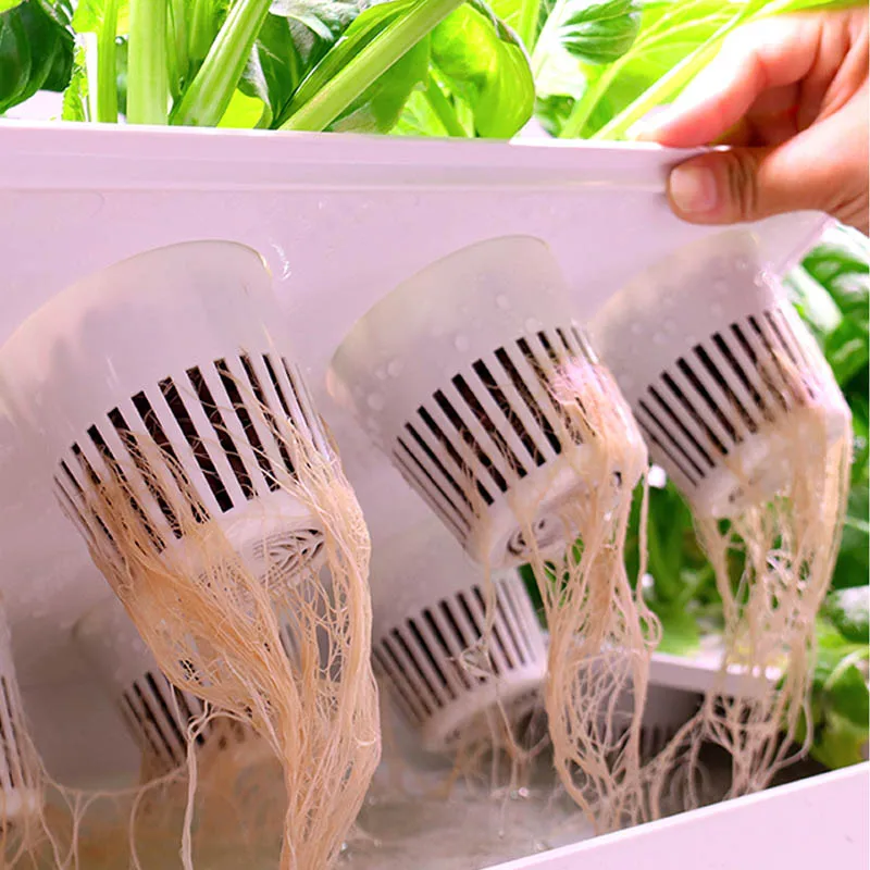 Hot Selling New Home Greenhouse Vertical Hydroponic System with LED Grow Light and Pump Smart Home Automation Eco-friendly Sale