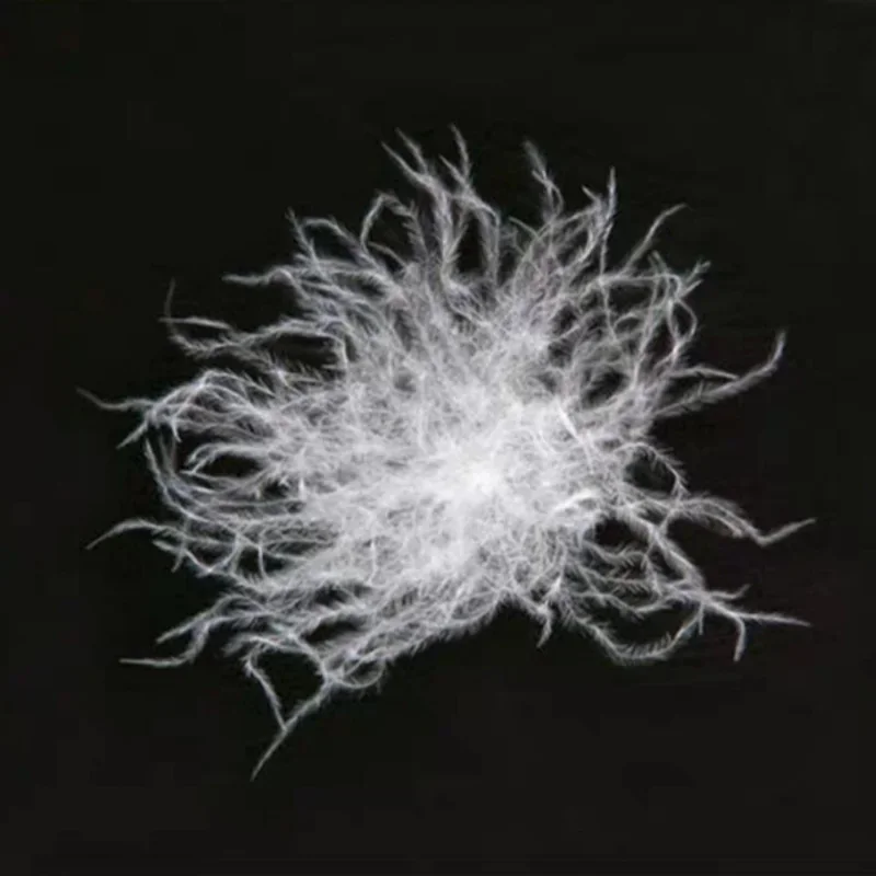 

50g Bulk Washed Top Quality White Duck Down Grade 95 White Duck Down Jacket Filling Material Down Quilt Raw Material Filling