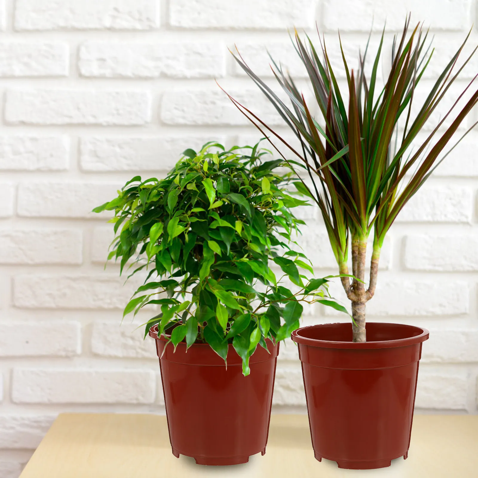 15-pecas-de-vasos-de-flores-com-controle-de-raizes-em-resina-premium-para-jardinagem-com-design-de-fundo-oco-para-infiltracao-para-uso-interno-e-externo