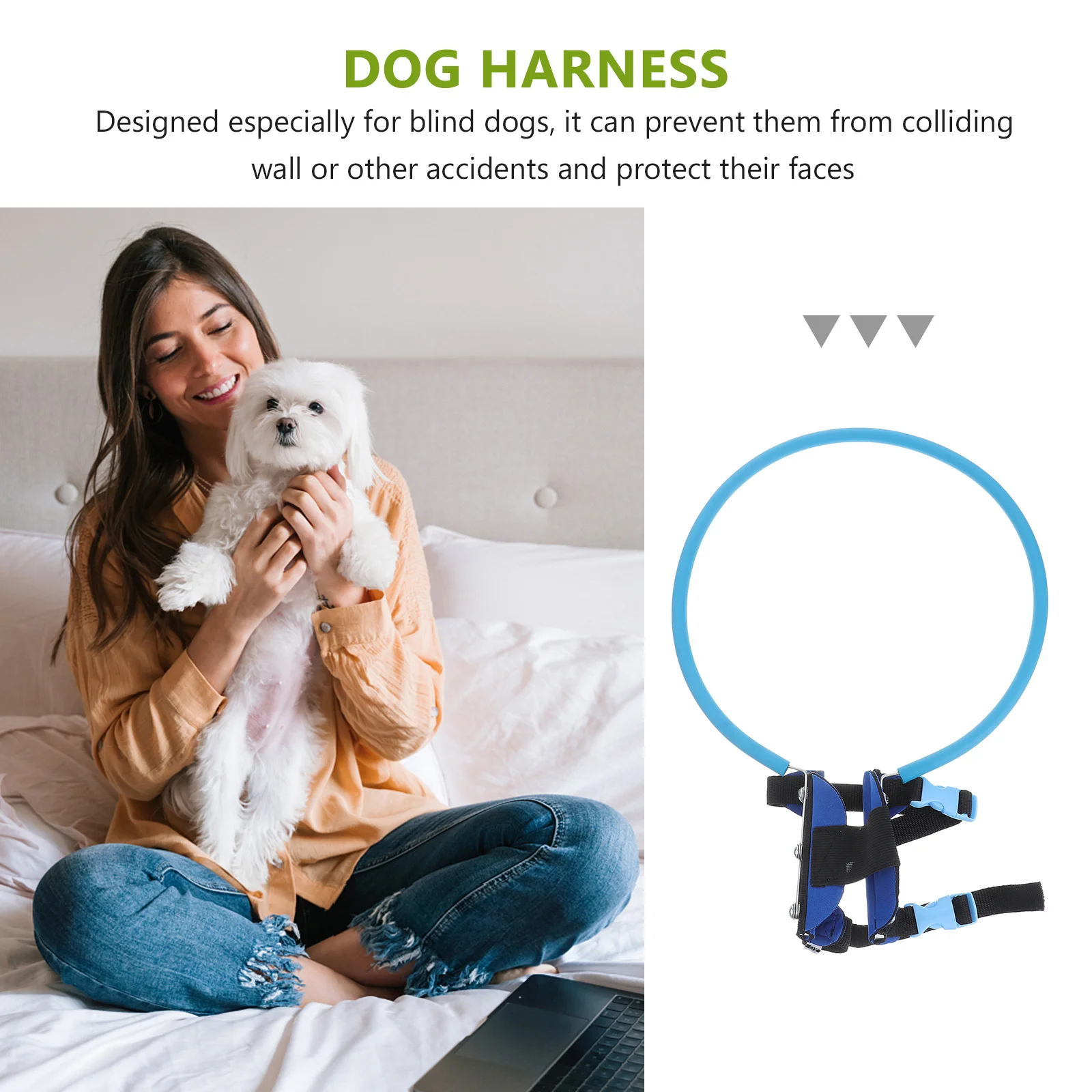 

1Pcs Dog Protection Ring Collision Prevention Lightweight Durable Eva Material Double Buckle Xs Size 28cm