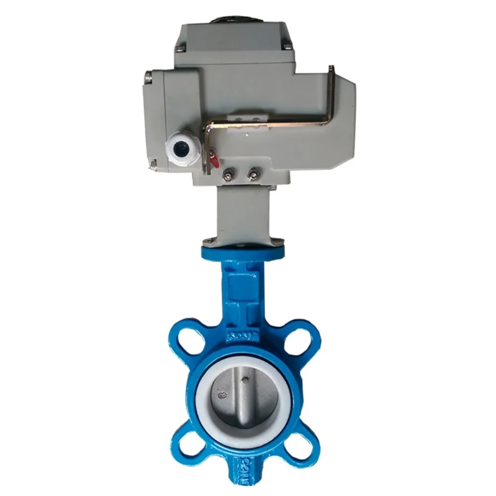 

D971F-16 220V Electric Clamp Type PTFE Butterfly Valve Electric Butterfly Valve DN40 50 65 80/cast Iron Valve Body 304 Plate