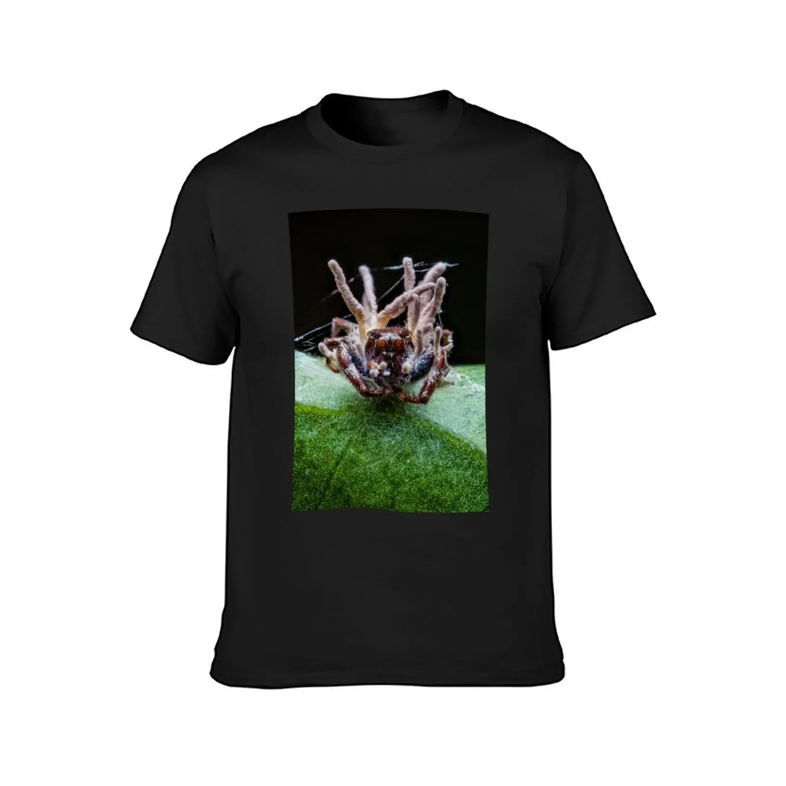 Zombie Jumping Spider - Cordyceps Fungus Infection T-Shirt boys animal print vintage clothes blacks mens t shirts casual stylish