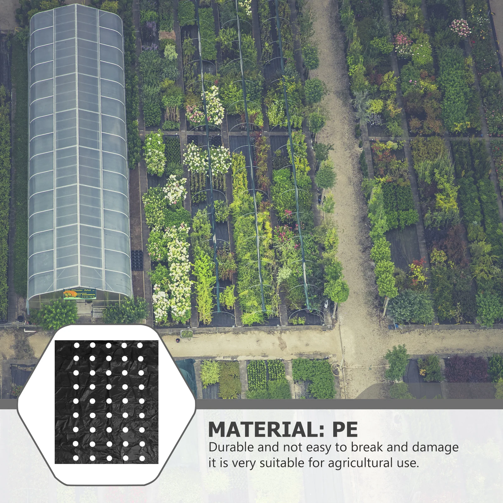 

Perforated Mulch Mulching Film Thermal Insulation Plant Plastic Agricultural Black