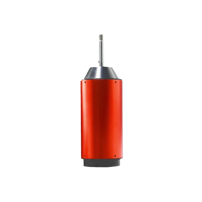 

Rotor brushless motor