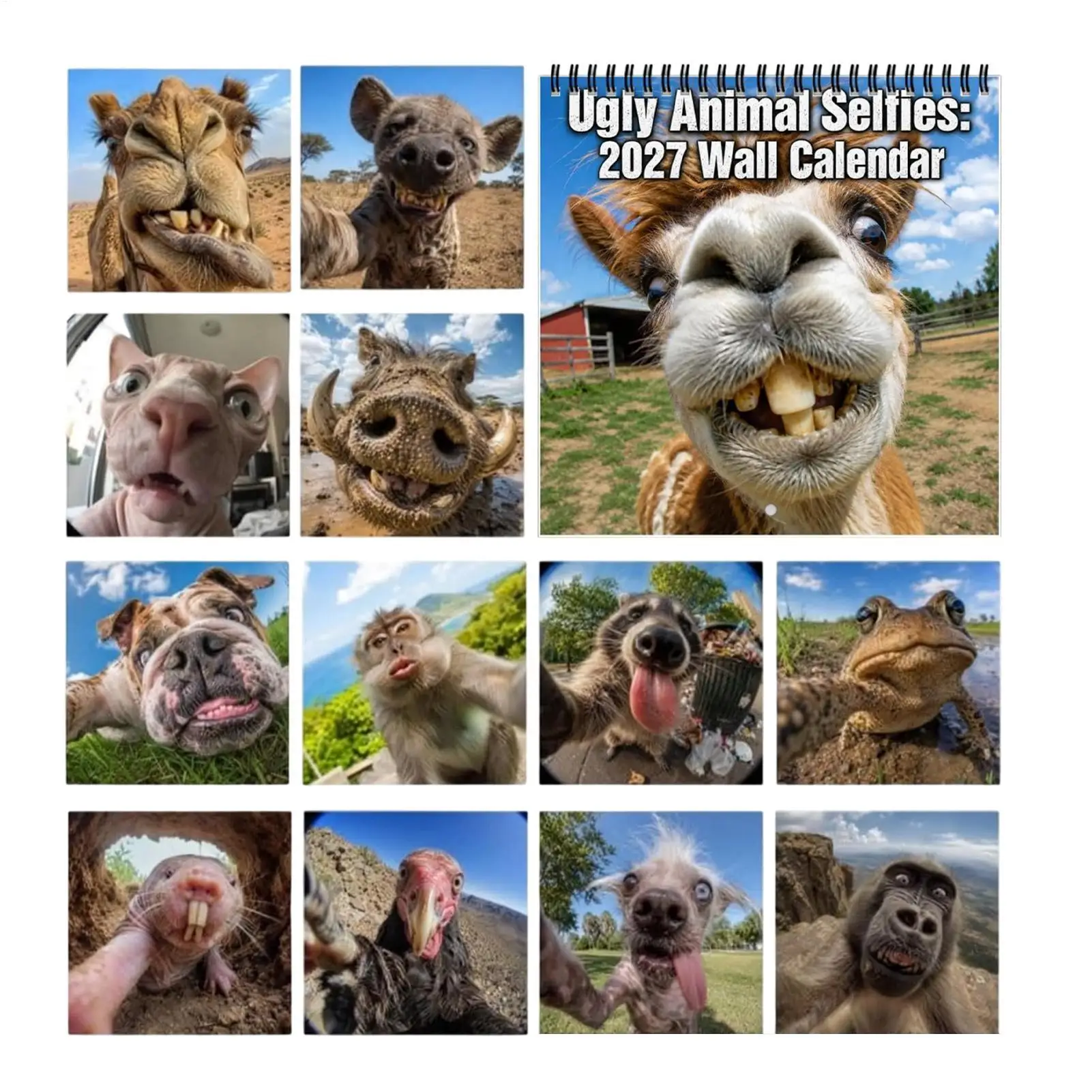 2027 Ugly Cute Animal Selfies Wall Calendar 12 Monthly January To December Family Planner Funny Animal Illustration Calendar