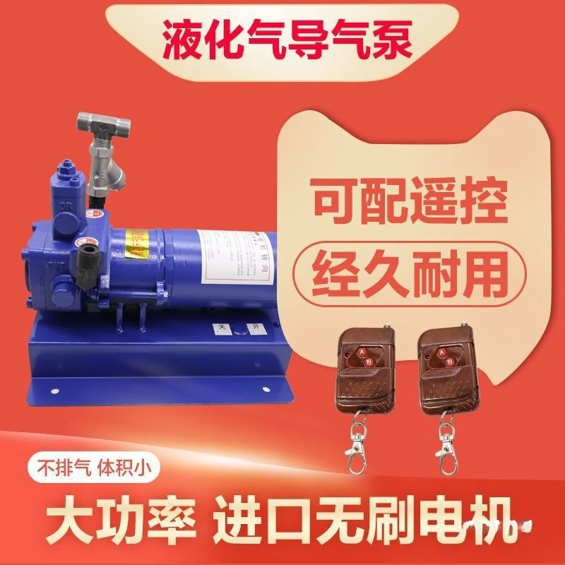 12V liquefied gas pump infusion pump 24 volts propane inflation
