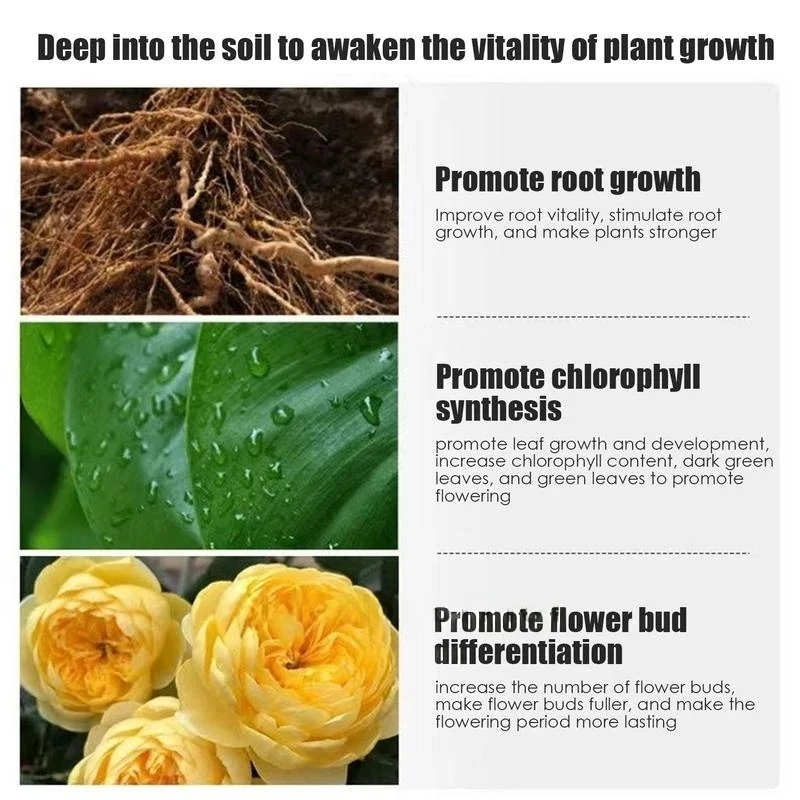 30g Advanced Anti-replant Microbial Fertilizer For Horticultural Vegetables: Bio-enriched Soil Solution To Continuous Cropping