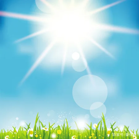 

For Hyundai Sonata 8 2.0T-2.4T 2011-2014 Black Under Engine Guard Plate Splash Shield Mud Fender Cover Mudguard Protector