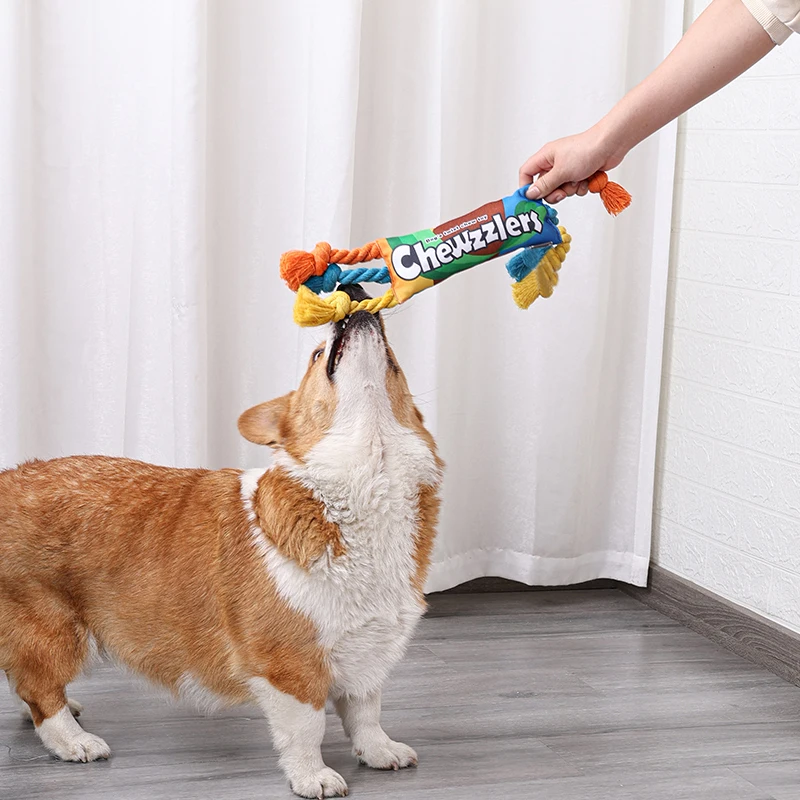 Thumbnail 3 - #9 Trending Squeaky Dog Toys Right Now