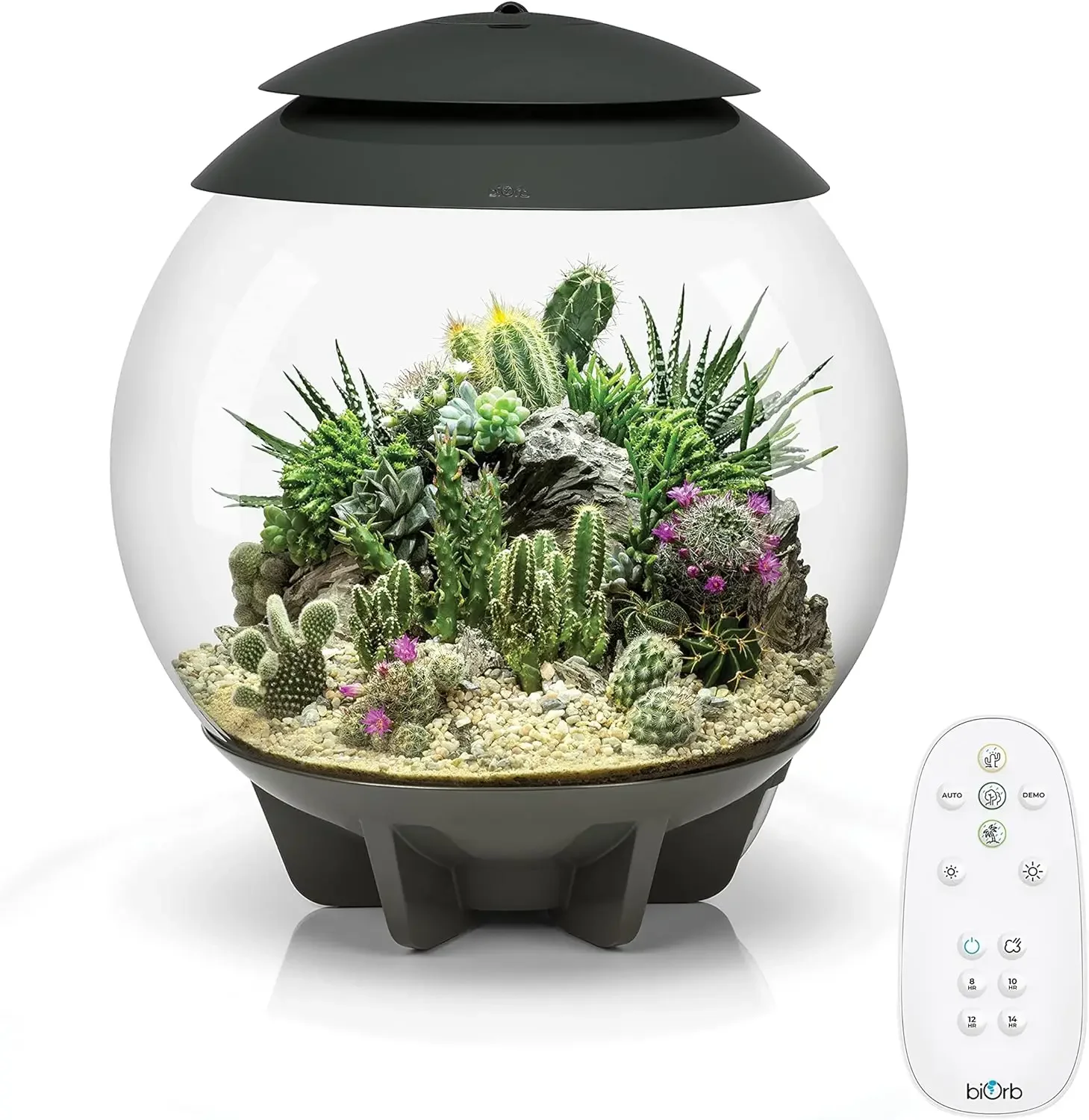 AIR 30 Fully Automated Terrarium for Arid Temperate or Tropical Plants Gray The Ultimate Terrarium for Plant Lovers