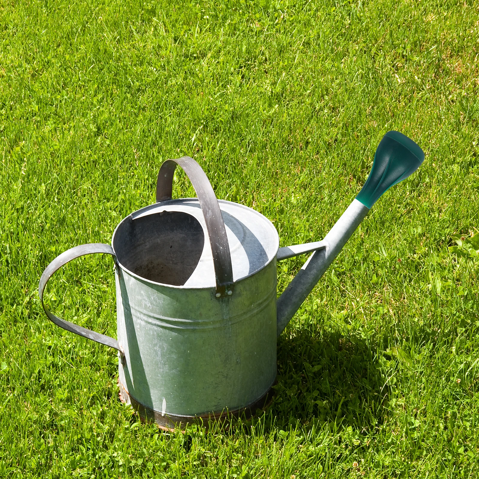 

Flower Watering Kettle Accessories Plant Accessory Portable Tcan Sprinklers Nozzle Pp
