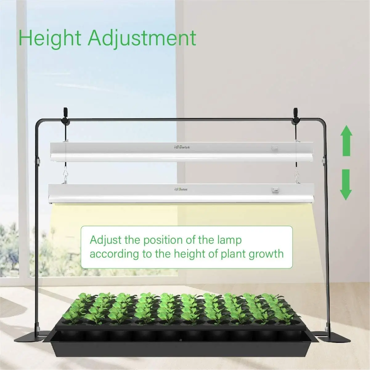 Adjustable LED Grow Light for Indoor Plants, Seed Starting with Natural Spectrum, Iron Frame & On-Off Switch