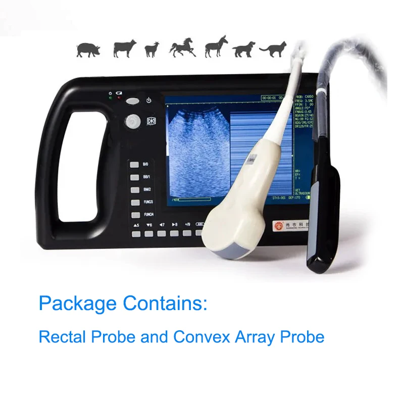 

Veterinary Instrument Full Digital 7 inch Horses Dogs Cows Handheld Veterinary Ultrasound Machine Ultrasound Scanning