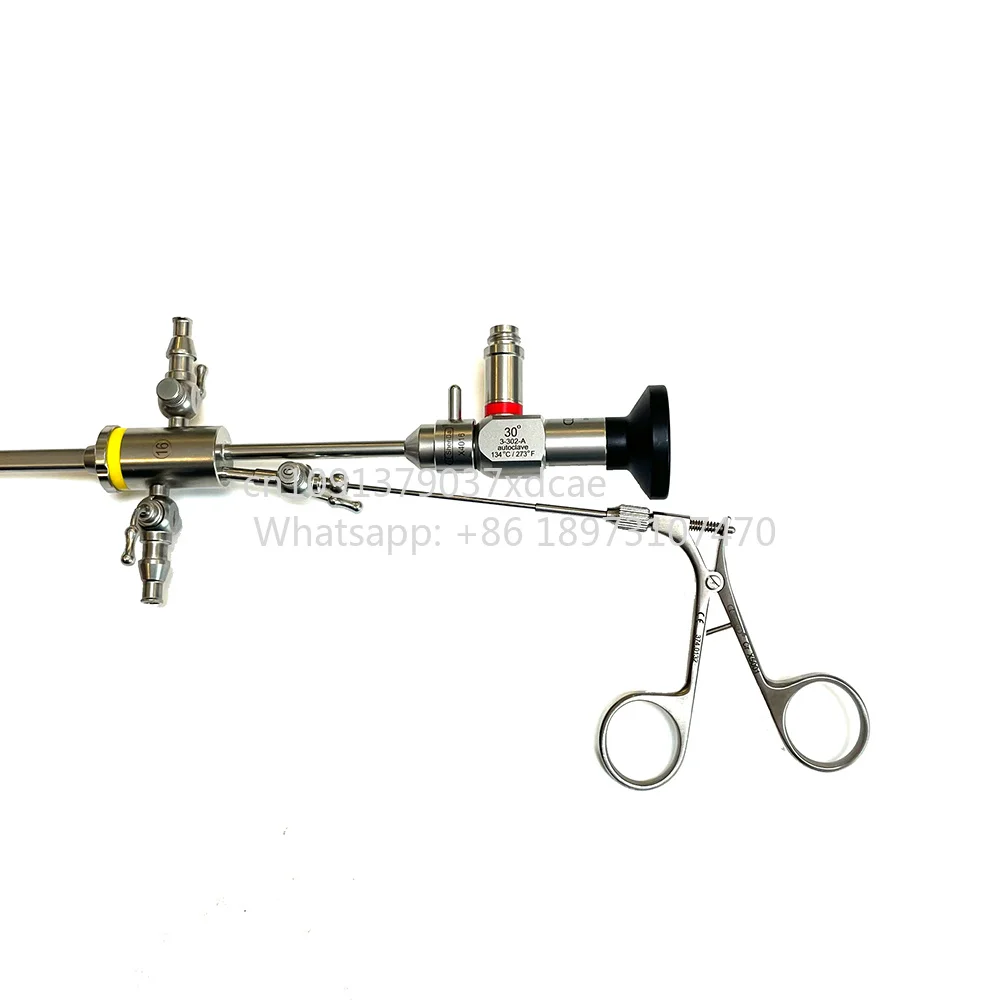 2026 New Best Quality Bolang Hysteroscope Gynecological With Good Price
