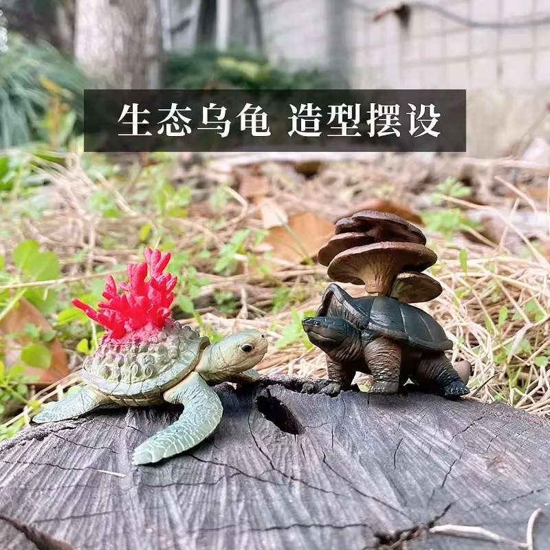 Giocattoli originali Gashapon Capsule Ecologia animale carina Tartaruga che scatta Tartarughe Action Figure Modello Kawaii Anime Figurine regalo