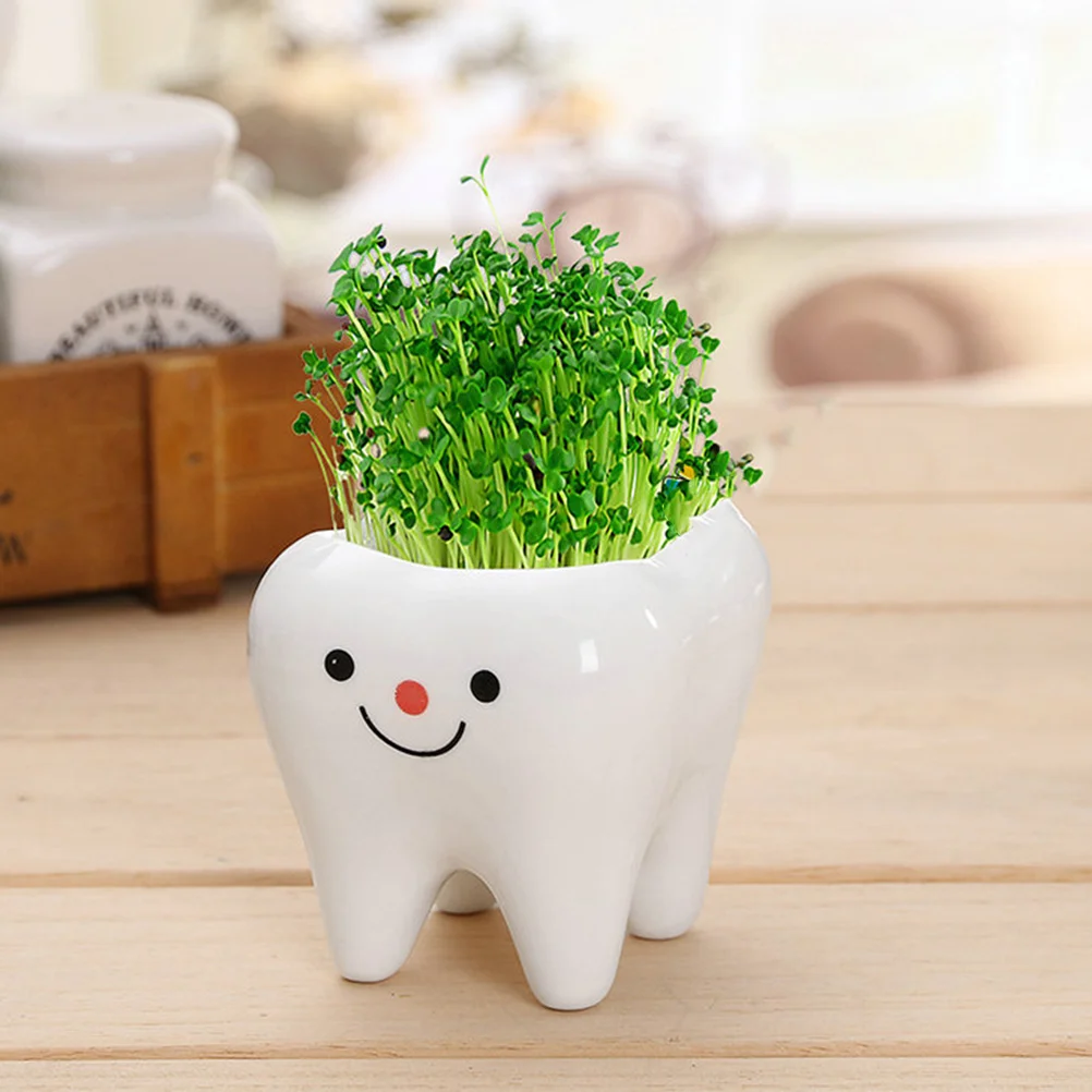 Pots Pot Planter Flower Ceramic Indoor Wall Mini Tooth Container Teeth Holder Bonsai Succulents Planting Planter Pots