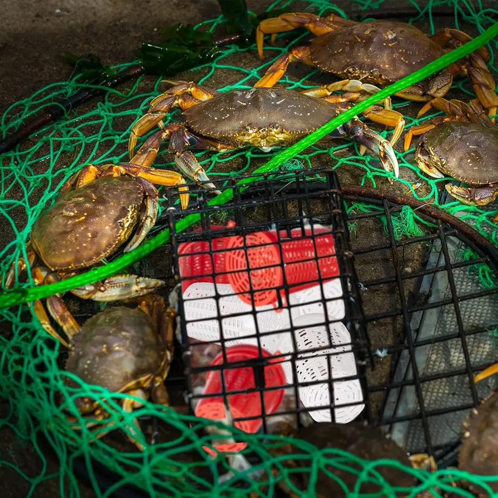 AC22 20 قطعة الصيد الطعم قفص فخ طعم الاسماك المغذية سلة البلاستيك الطعم دلو ل جراد البحر الروبيان دودة الأرض كراب الكارب